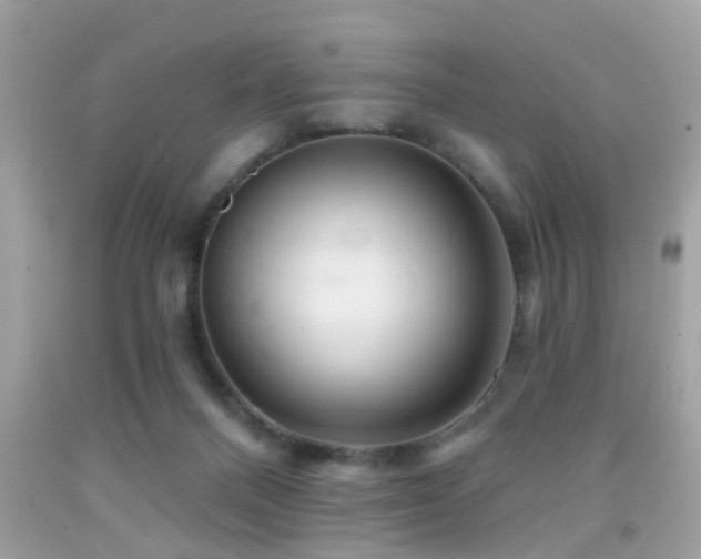 X0000092080120200709121452