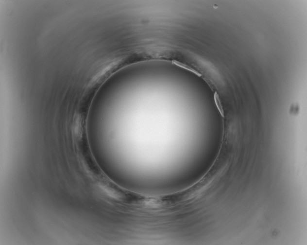 X0000092080121200709121452