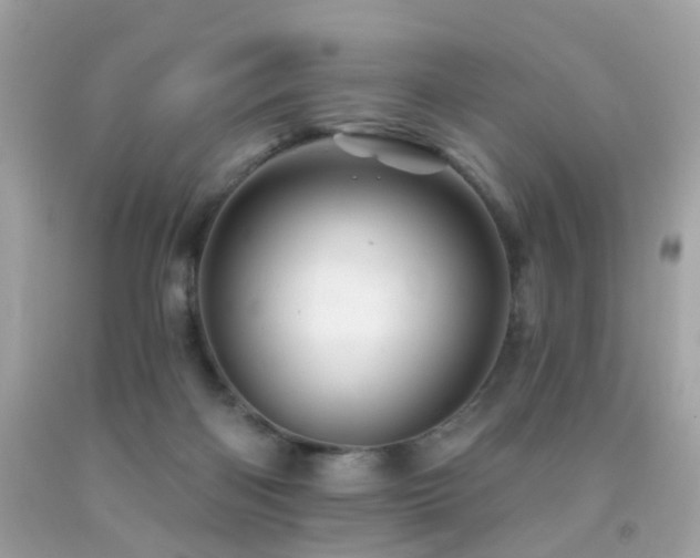 X0000092080122200709121452