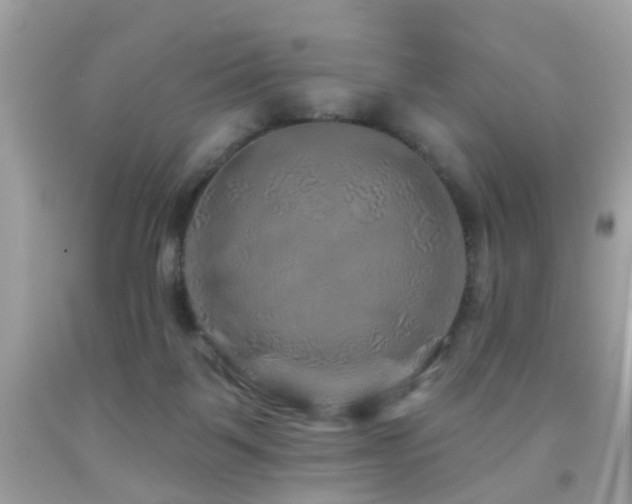 X0000092080123200709121452