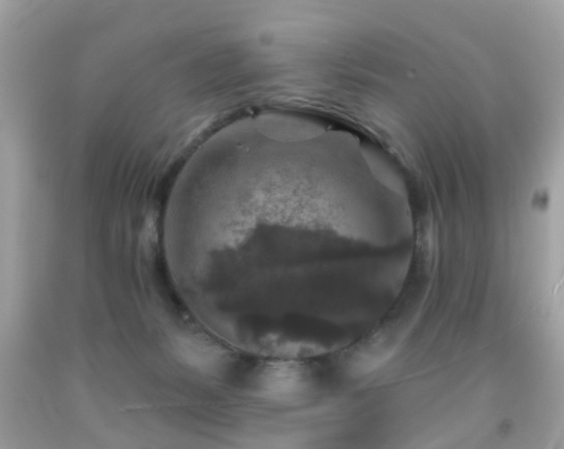 X0000092080127200709121452