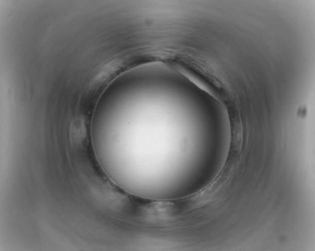 X0000092080128200709121452