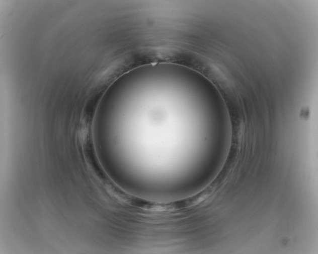 X0000092080129200709121452