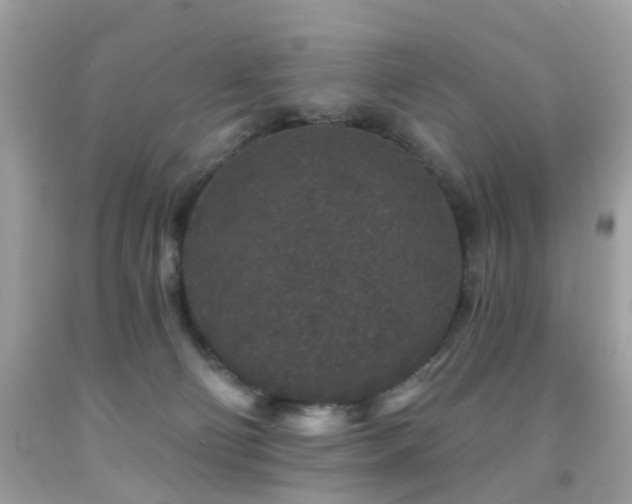 X0000092080130200709121452