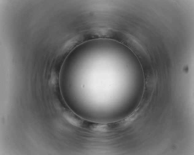 X0000092080132200709121452