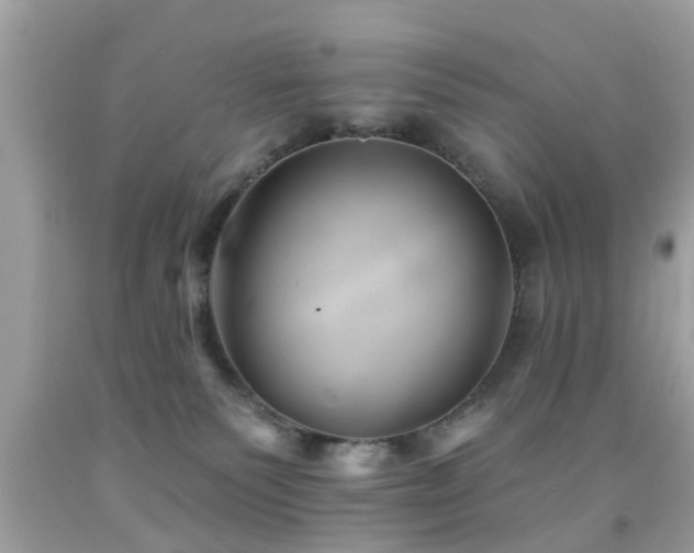 X0000092080135200709121451