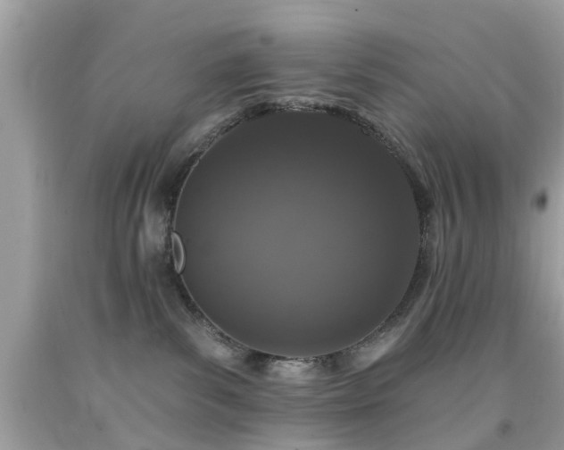 X0000092080139200709121451