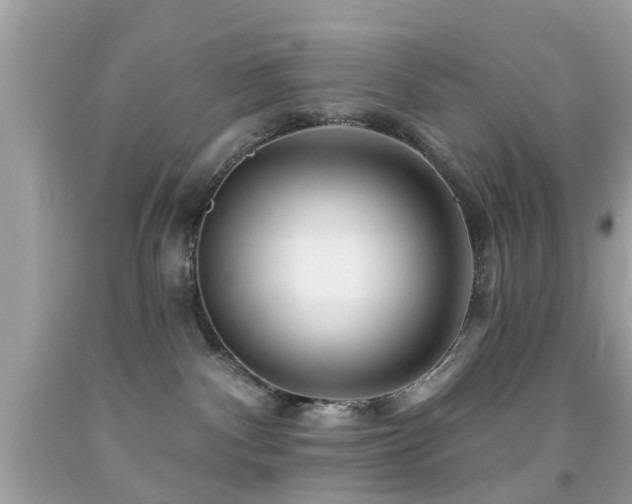 X0000092080140200709121451