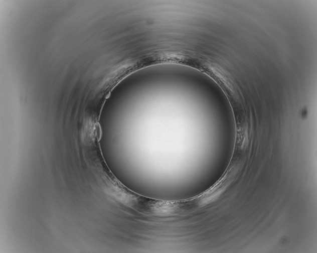 X0000092080142200709121451