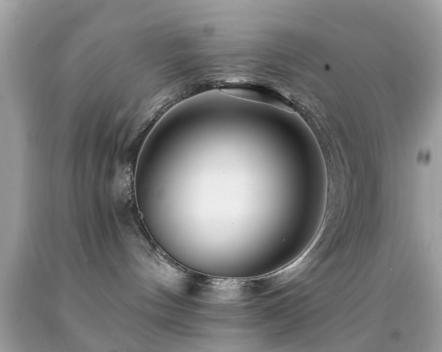 X0000092080144200709121451