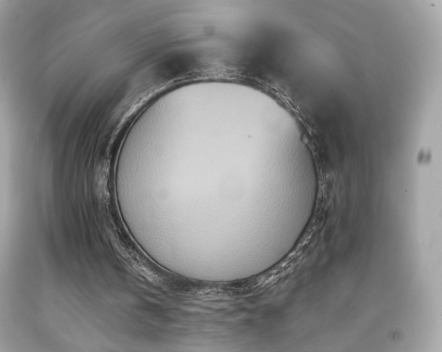 X0000092080146200709121451