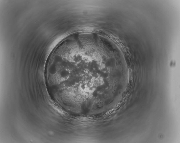 X0000092080147200709121451