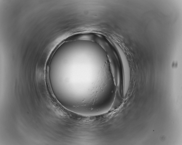 X0000092080148200709121451