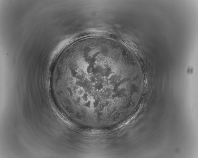 X0000092080149200709121451