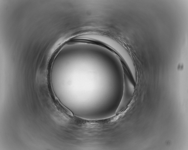 X0000092080150200709121451