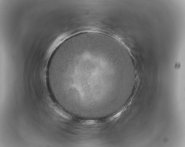 X0000092080151200709121451