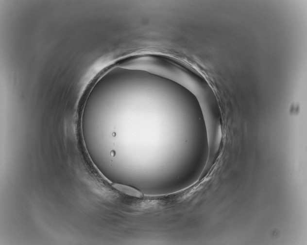 X0000092080152200709121451