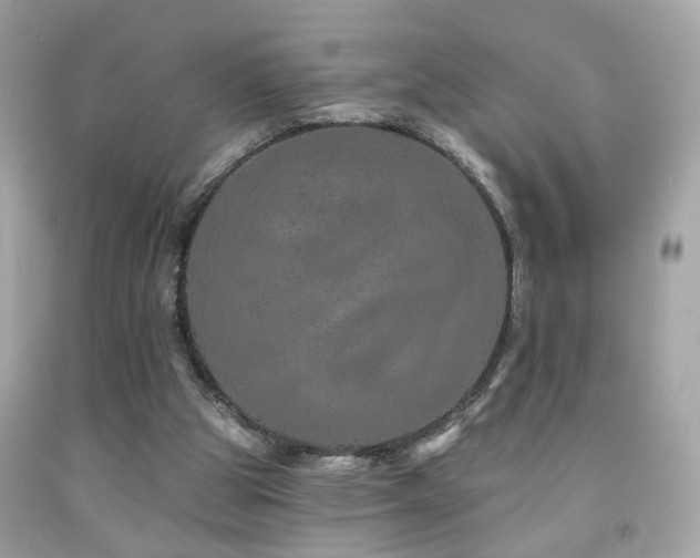 X0000092080153200709121451