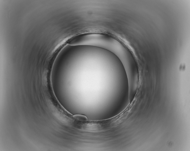 X0000092080154200709121451