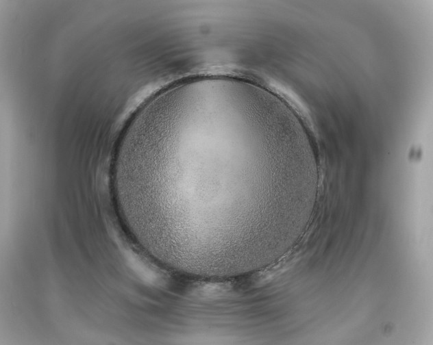 X0000092080155200709121451