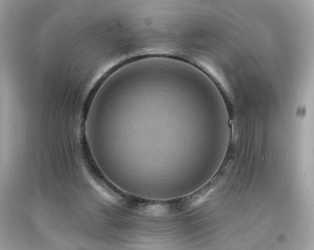 X0000092080156200709121451