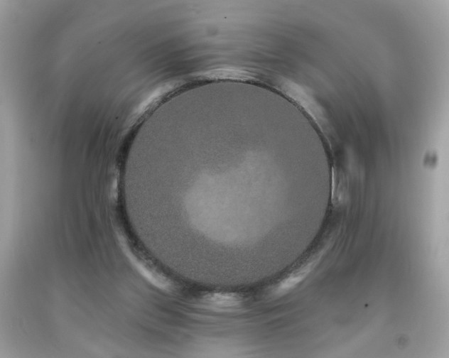 X0000092080157200709121451