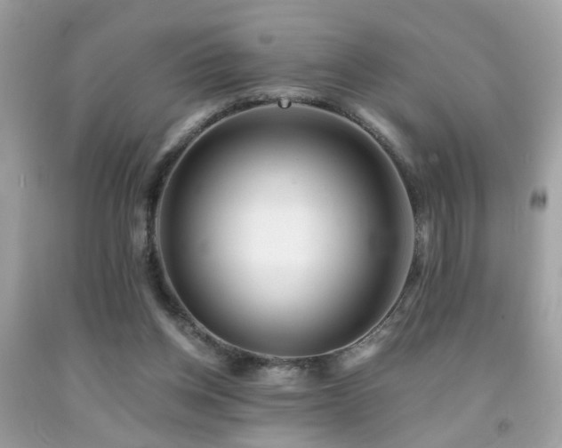 X0000092080158200709121451