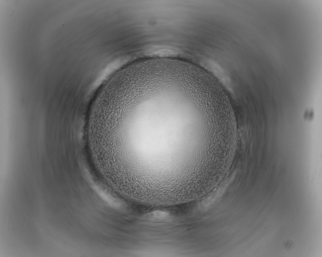 X0000092080159200709121451