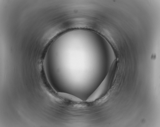 X0000092080160200709121451