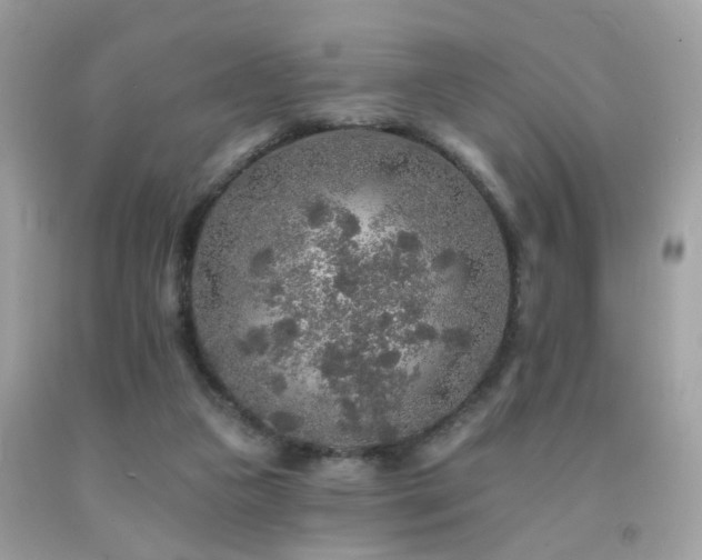 X0000092080161200709121451