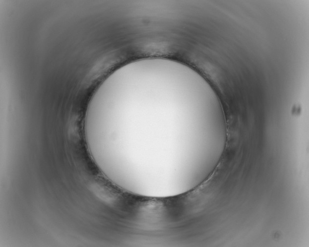 X0000092080162200709121451