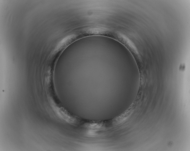 X0000092080163200709121451