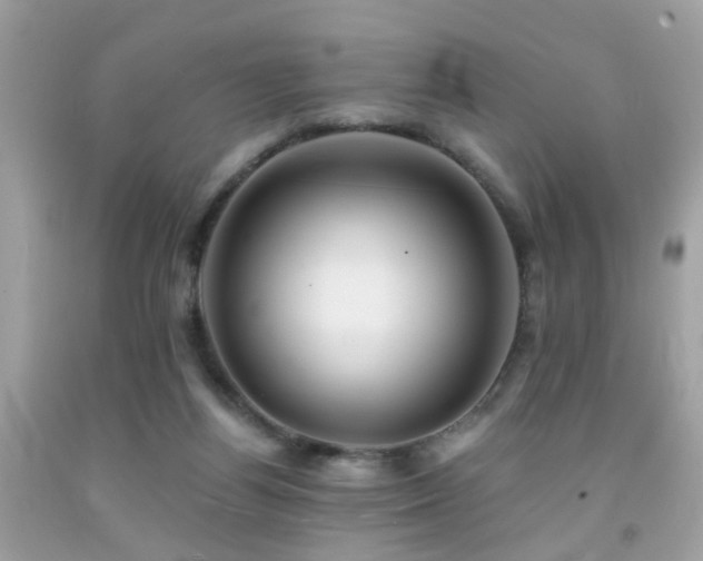 X0000092080164200709121451