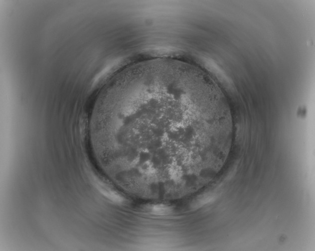 X0000092080165200709121451