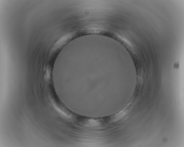 X0000092080166200709121451