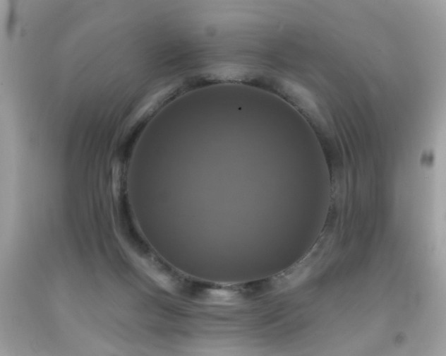 X0000092080167200709121451