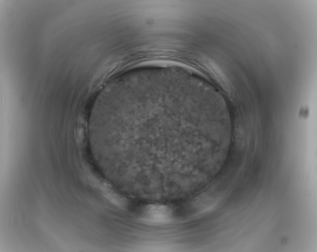 X0000092080169200709121451