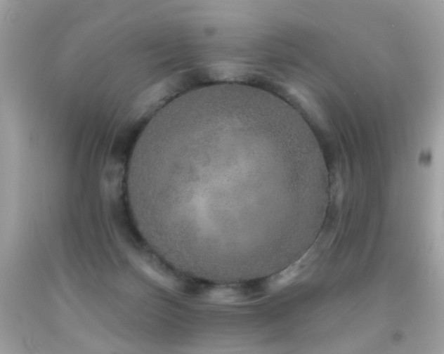 X0000092080171200709121451