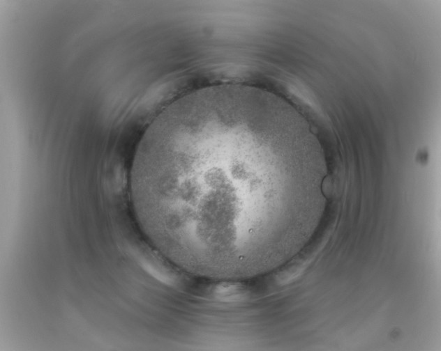 X0000092080173200709121451