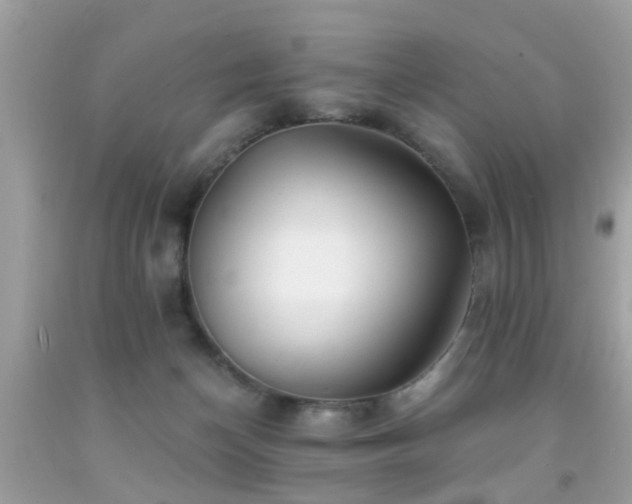 X0000092080174200709121451