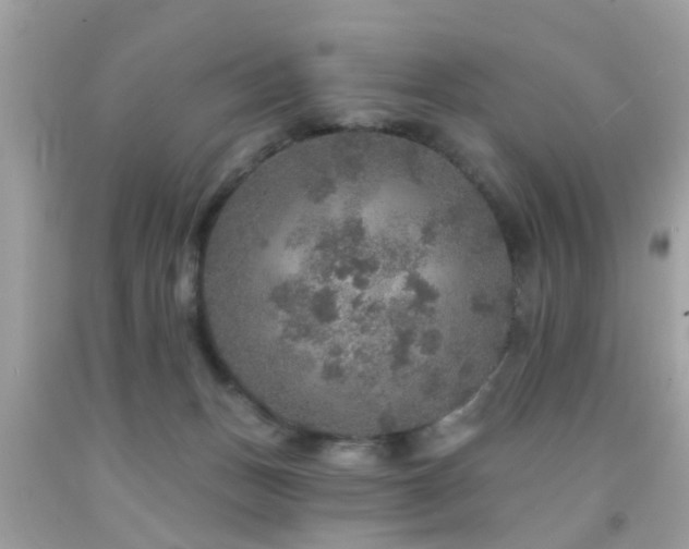X0000092080175200709121451
