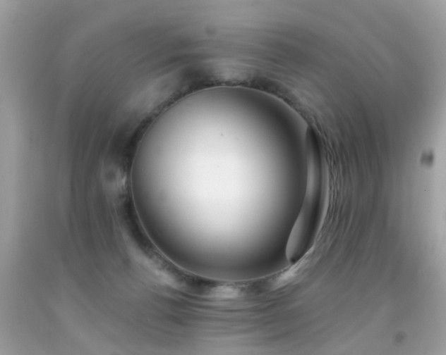 X0000092080176200709121451