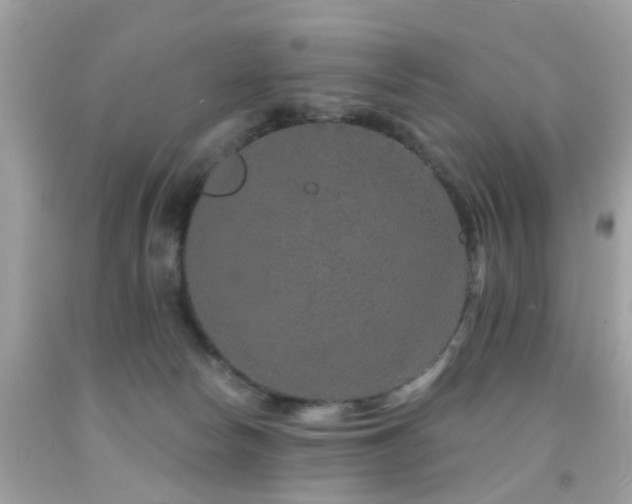 X0000092080178200709121451