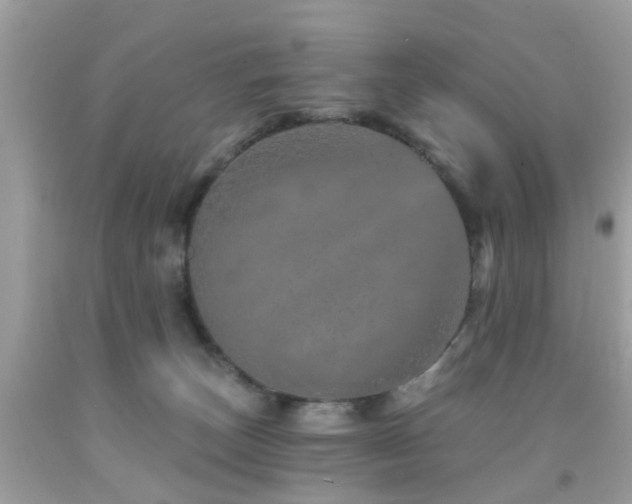 X0000092080179200709121451
