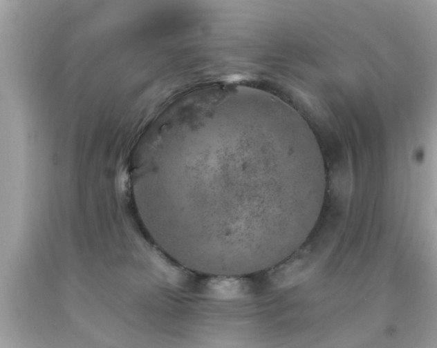 X0000092080181200709121451