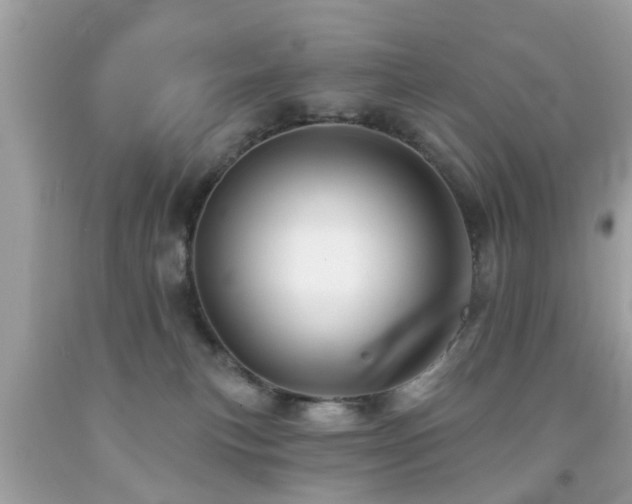 X0000092080183200709121451