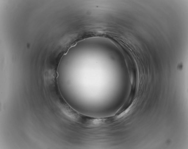 X0000092080184200709121451