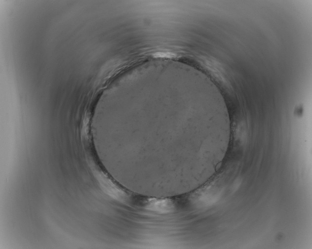 X0000092080185200709121451