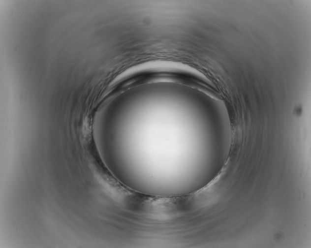 X0000092080186200709121451