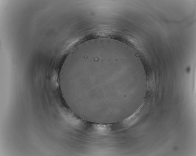 X0000092080187200709121451